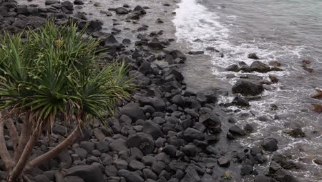 waves wash over rocks and retreat on a pebbly beach