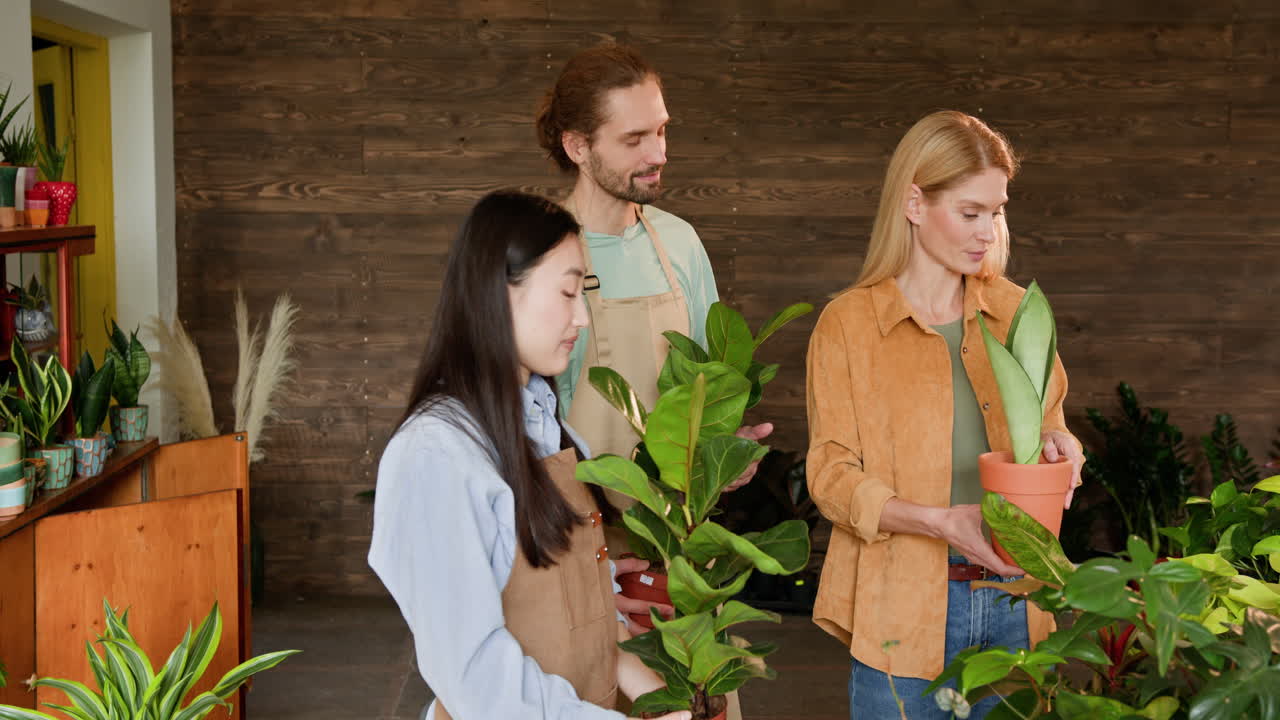 consulta de las plantas de la tienda
