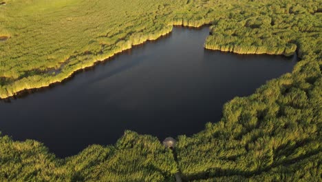 Lago-Verde-De-La-Naturaleza