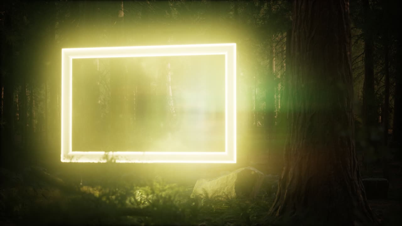 marco rectangular brillante de neón en el bosque nocturno