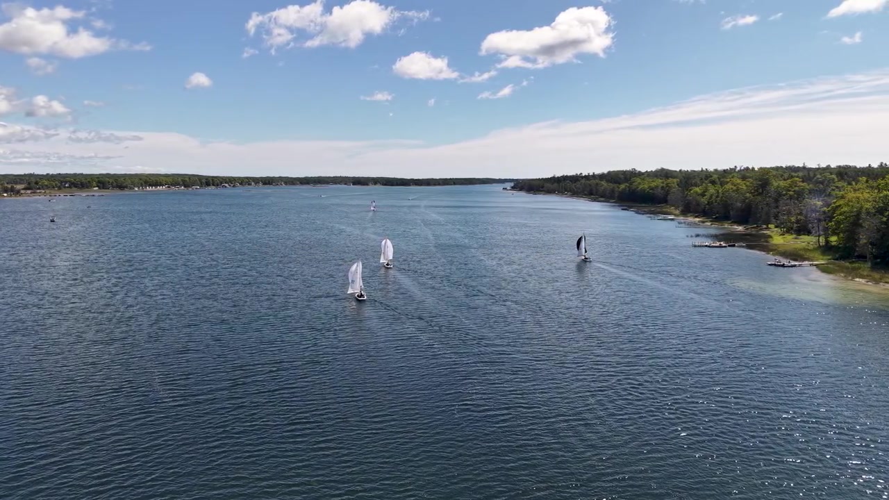 Vista aérea de uma cena serena de lago com veleiros e praticantes de stand-up paddle em águas calmas na natureza selvagem de Hessel, Michigan