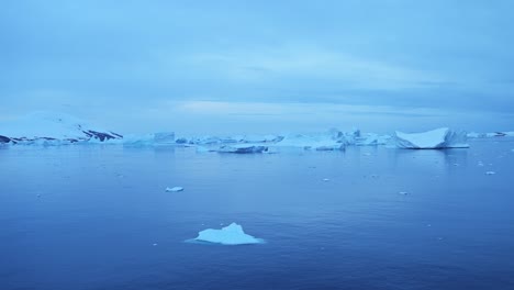 icebergs floating in a blue polar sea with snow-covered mountains