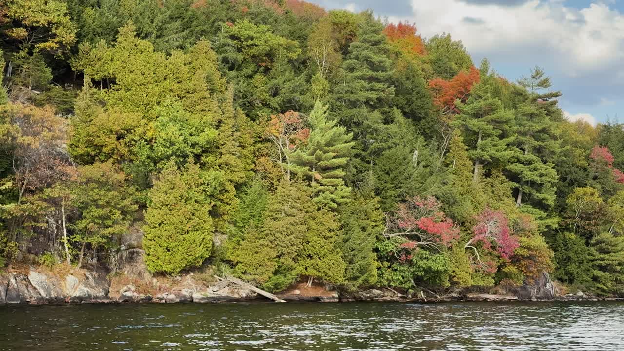 Lakeside coniferous forest seen from moving boat in Muskoka, Ontario, Canada, eco tourism and mindfulness