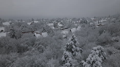 Verschneite,-Neblige-Winterluftaufnahmen-Von-Schnee,-Bäumen,-Häusern