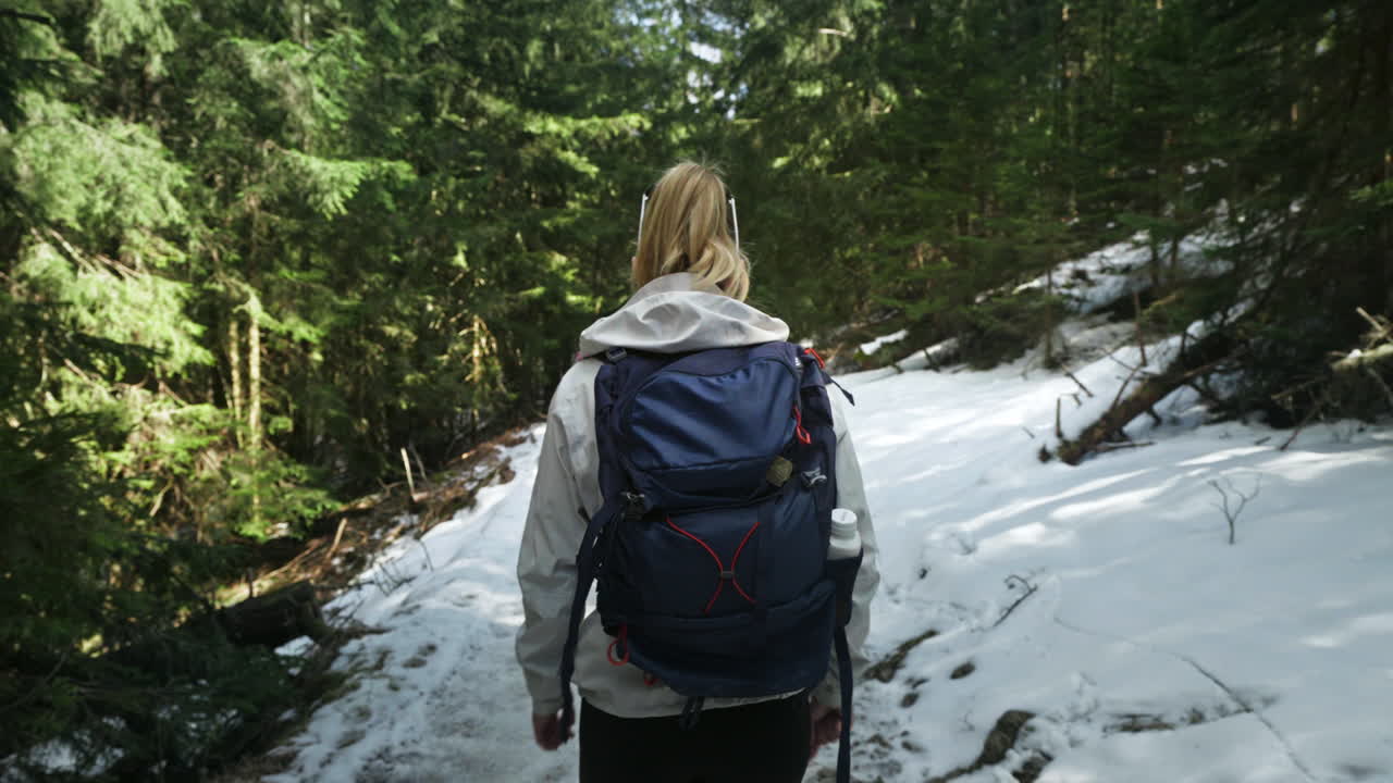 Rear Of A Woman With Backpack During Winter Hike In Tatras Mountains, Europe. Tracking Shot
