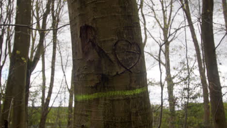 mid-shot-over-tree-trunk-with-a-heart-scratched-engraved-into-it-brambles-in-a-forest-in-Nottinghamshire