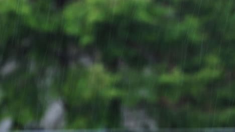 Pouring-rain-with-blurred-windblown-green-branches-behind-it