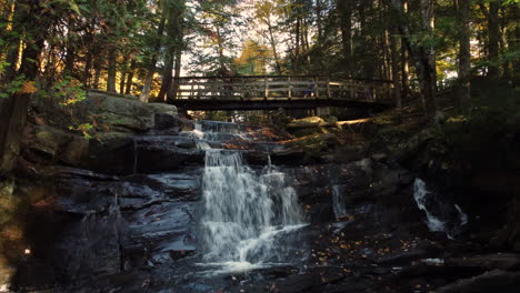 family recreation in nature, mother and children cross a wooden bridge over a waterfall in the forest, aerial