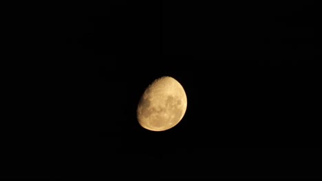 red orange moon timelapse, maffra, gippsland, victoria, australia