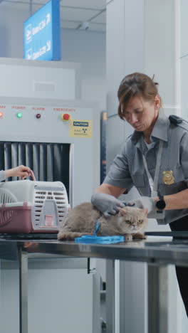 airport pet security inspection