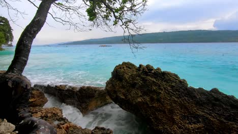 Enormes-Olas-Salpican-Rocas-Debajo-Del-árbol