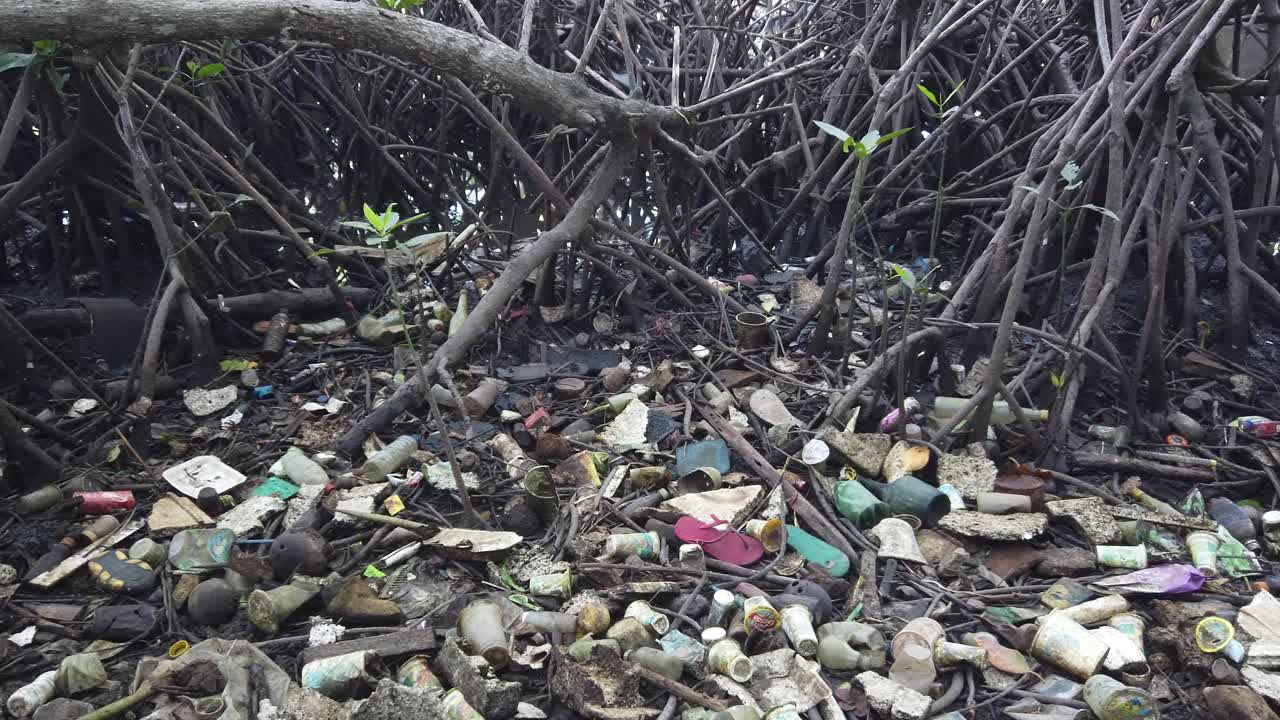 residuos plásticos en las raíces de un bosque de manglares, contaminación en el calentamiento global del ecosistema ambiental, mangales de bali indonesia, sudeste asiático