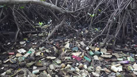 Residuos-De-Basura-Plástica-En-Las-Raíces-De-Un-Bosque-De-Manglares,-Contaminación-En-El-Ecosistema-Ambiental-Del-Calentamiento-Global,-Mangals-De-Bali-Indonesia,-Sudeste-Asiático