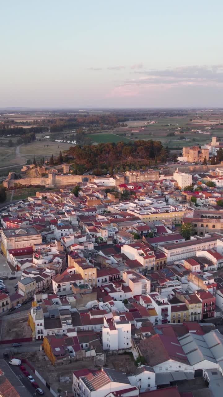 Vista aérea vertical de Badajoz, una ciudad fronteriza española, que muestra el diseño urbano, los tejados y el paisaje circundante