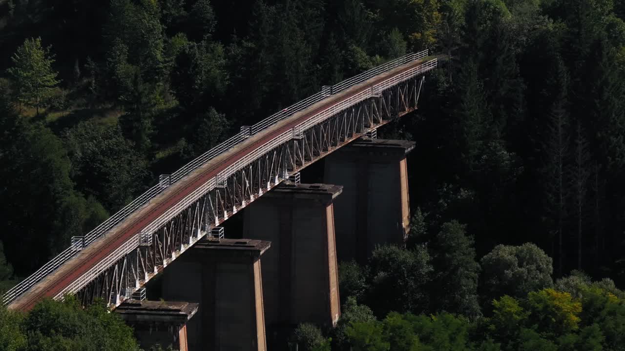 자연, 나무, 숲, 녹색 스 영상 컬렉션은 자연의 아름다움과 평온을 가져오는 완벽한 방법입니다.
