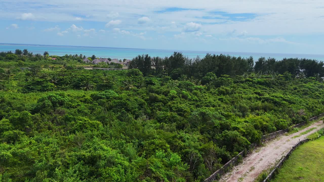 탄자니아의 잔지바르 남동부 해안에 있는 미차미 비치 마을의 푸른 자연