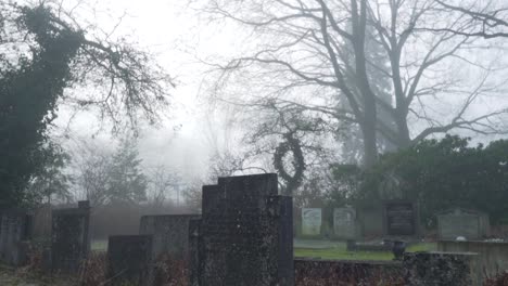 foggy cemetery scene