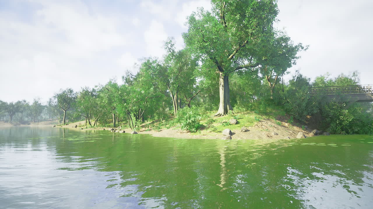 Lush green island with trees along the calm river shore at dawn