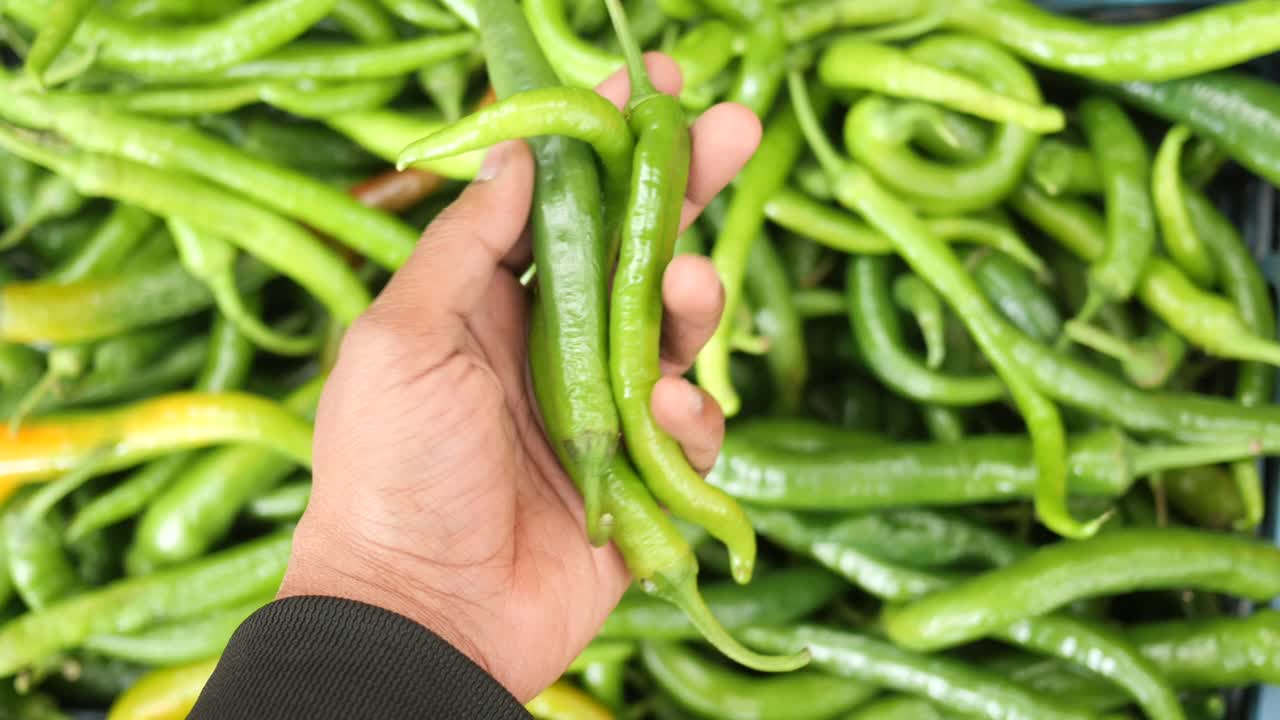 Handful of Green Chili Peppers