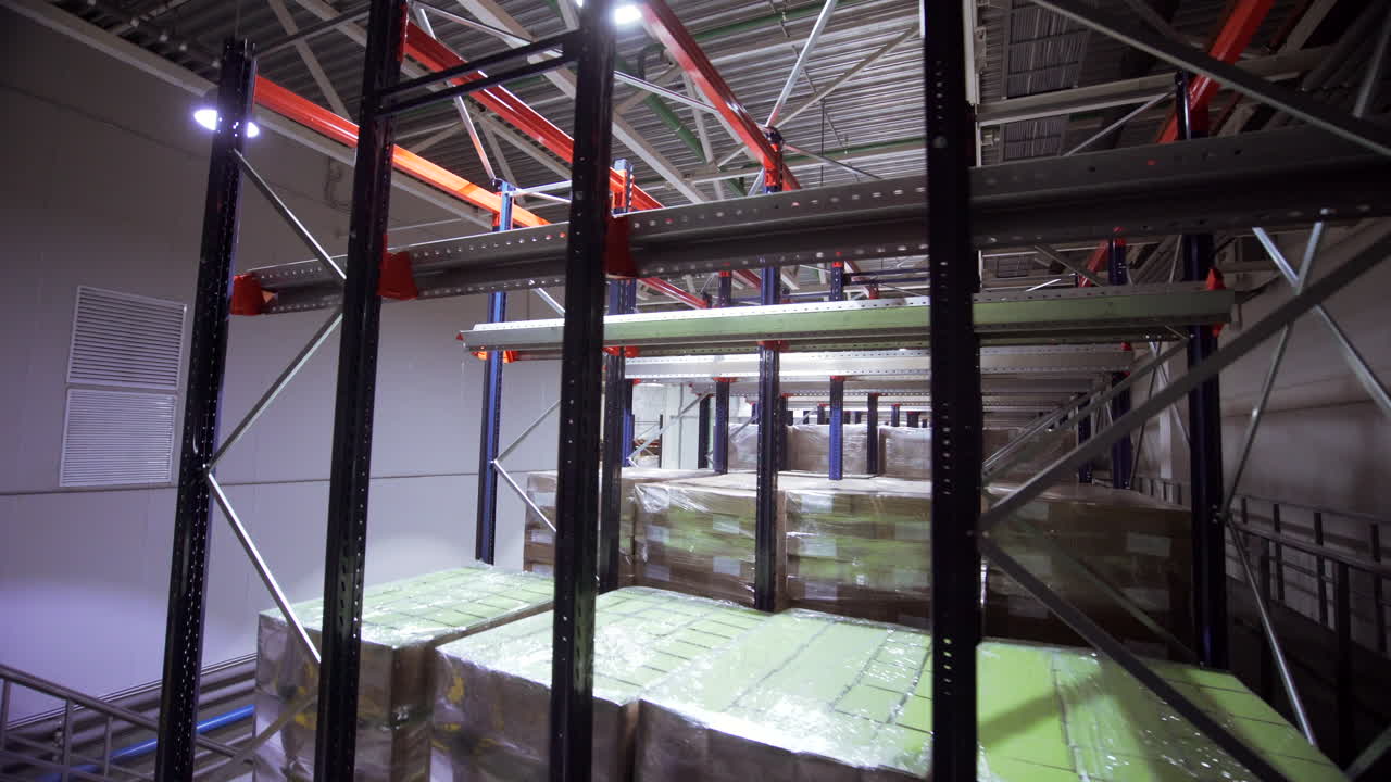 Automated Cold Storage Warehouse