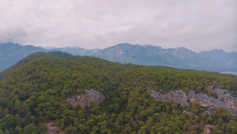 mountainous landscape with forest