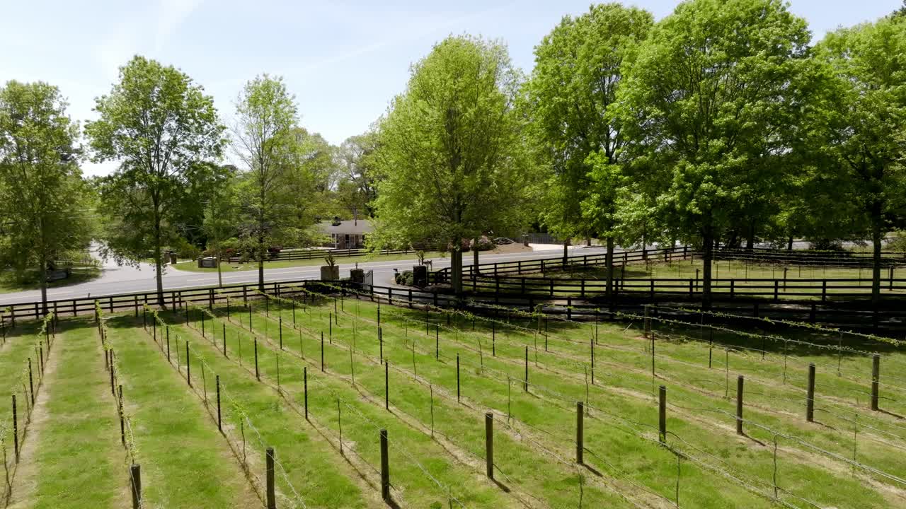 Plant grapevines support systems at home garden, Stoney J's Winery, Cumming, Atlanta, Georgia, Revealing shot