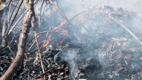montón de desechos de jardín ardiendo en una hoguera en el patio trasero