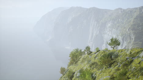 foggy cliffs overlooking a vast sea