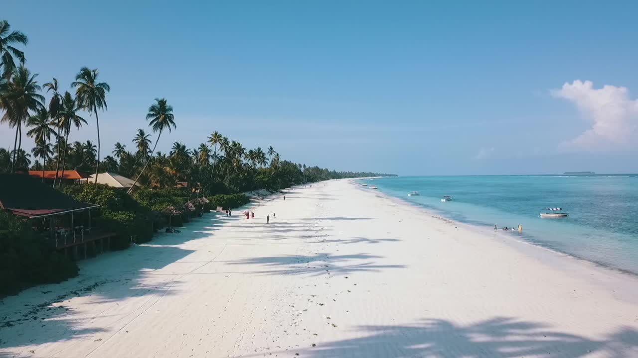 Buttery soft aerial flight fly forwards drone shot long shadows from coconut palm over a paradise white sand dream beach on Zanzibar, Africa 2019