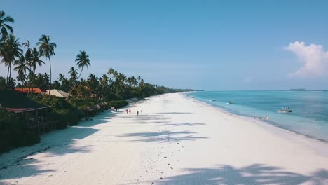 vuelo aéreo suave y mantecoso volar hacia adelante drone disparó largas sombras de palma de coco sobre una playa de ensueño de arena blanca paradisíaca en zanzíbar, áfrica 2019