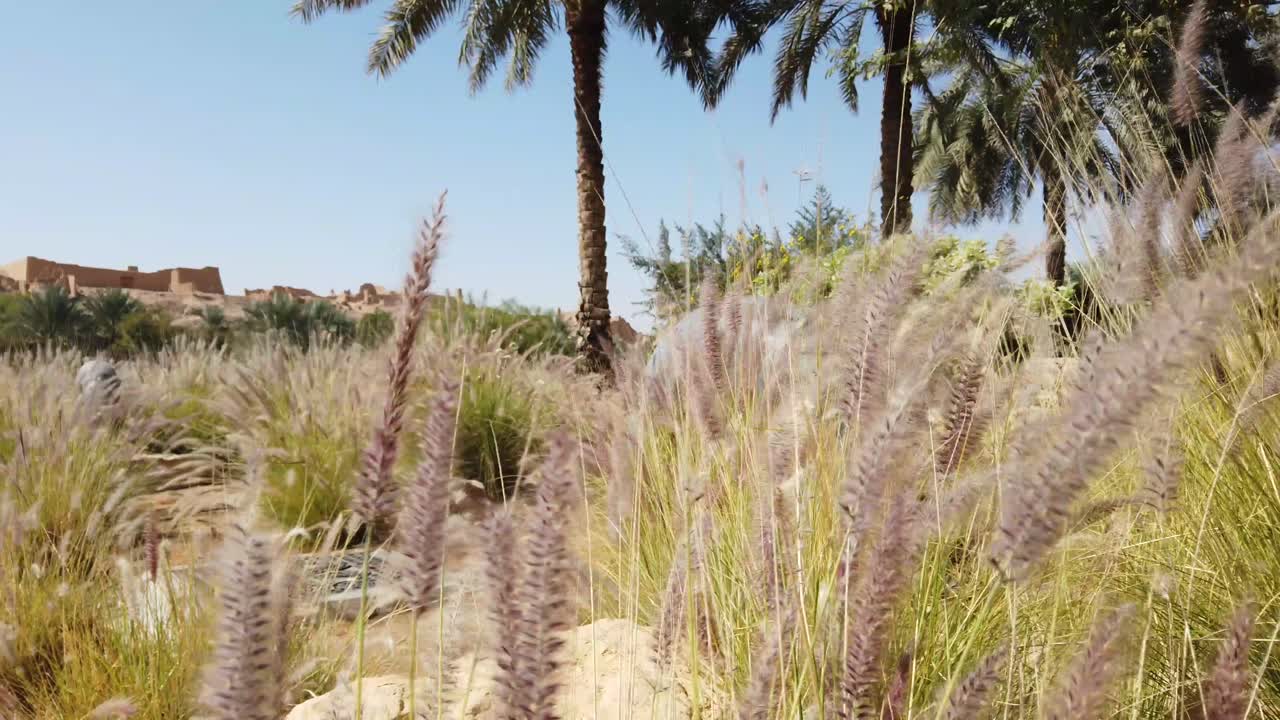 리야드의 알 드레아