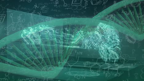 animation of scope scanning and data processing over dna strand