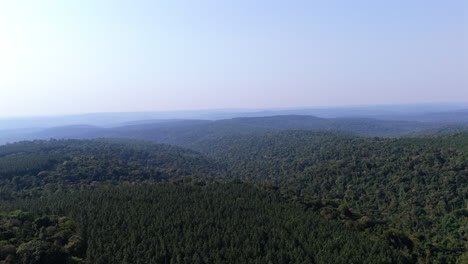 aerial footage capturing the stunning landscape of misiones, argentina, showcasing rolling hills covered in lush green forests stretching as far as the eye can see under a clear sky, drone ascending