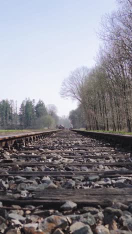 train tracks at auschwitz