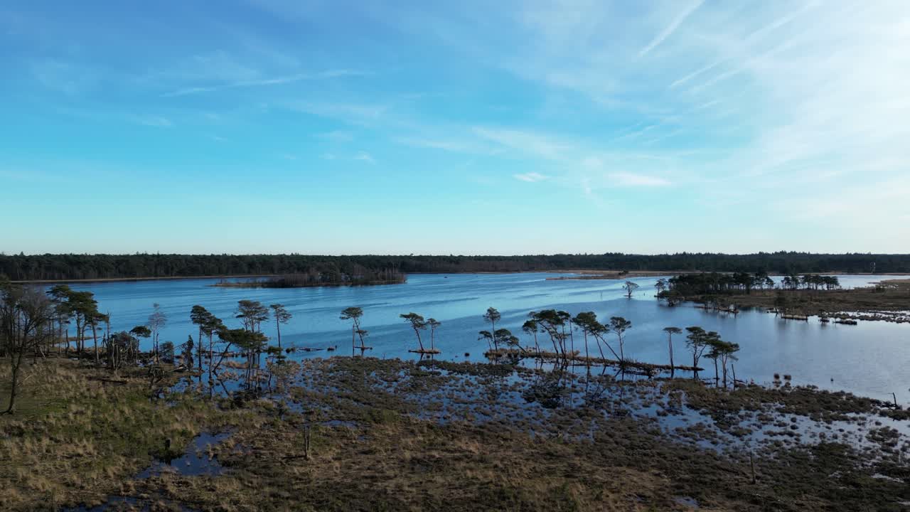 kalmthoutse heide drone volando directamente sobre los humedales y pasando sobre el agua