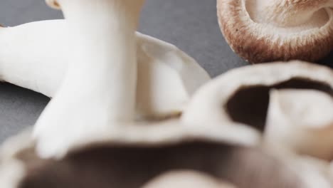 Micro-video-of-close-up-of-mushroom-with-copy-space-on-grey-background