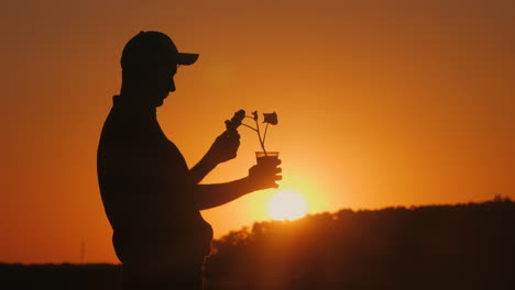 silhouette of a man looking at a young plant at sunset