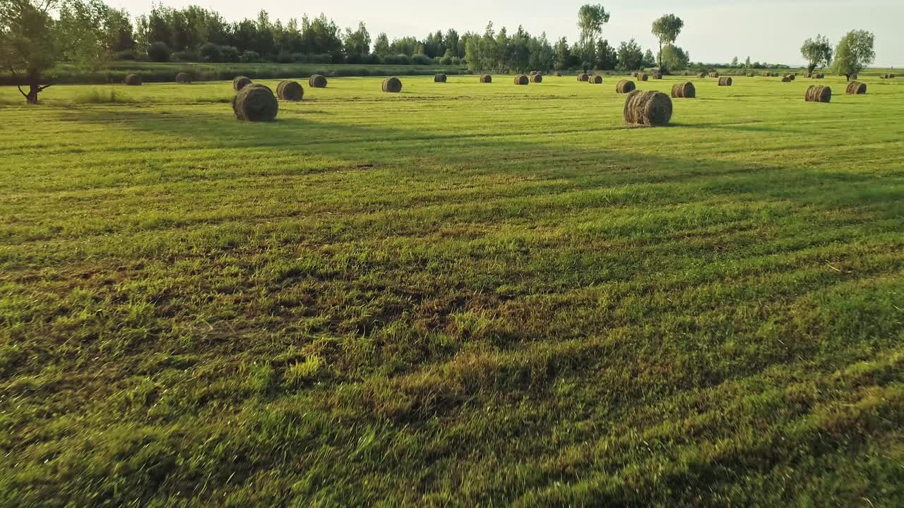 Vista panorámica de tierras de cultivo con heno seco enrollado durante la temporada de cosecha
