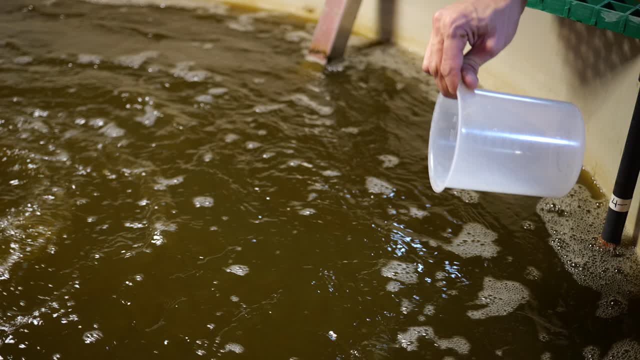 시험을 위해 수산업용  ⁇ 는 용기에서  ⁇ 플을 채취합니다.