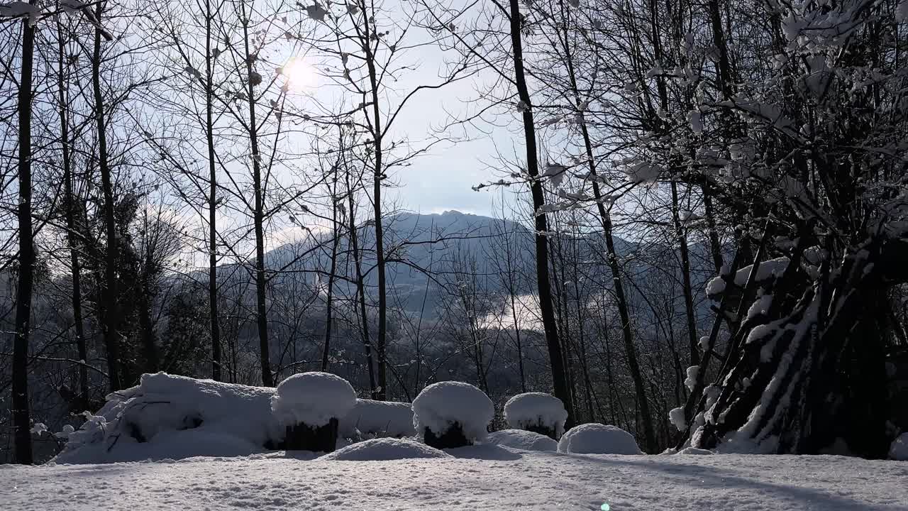 Outdoor wooden bench scenic view of winter snow covered forest mountain Hyrcanian landscape dream panoramic rural countryside cabin dead wood tree snowfall freezing lifestyle vacation nature Iran