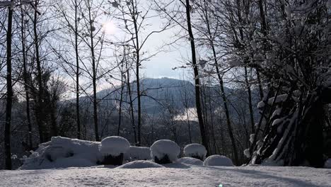 outdoor wooden bench scenic view of winter snow covered forest mountain hyrcanian landscape dream panoramic rural countryside cabin dead wood tree snowfall freezing lifestyle vacation nature iran