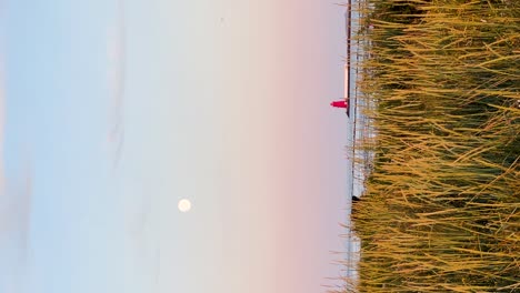 Serenidad-Dorada-Del-Atardecer:-Faro-De-Poolbeg,-Salida-De-La-Luna-Y-Belleza-Costera-En-Dublín,-Irlanda-|-Vídeos-Verticales