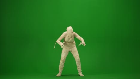 scary mummy wrapped in bandages looks around searches for a victim and scares with raised arms green