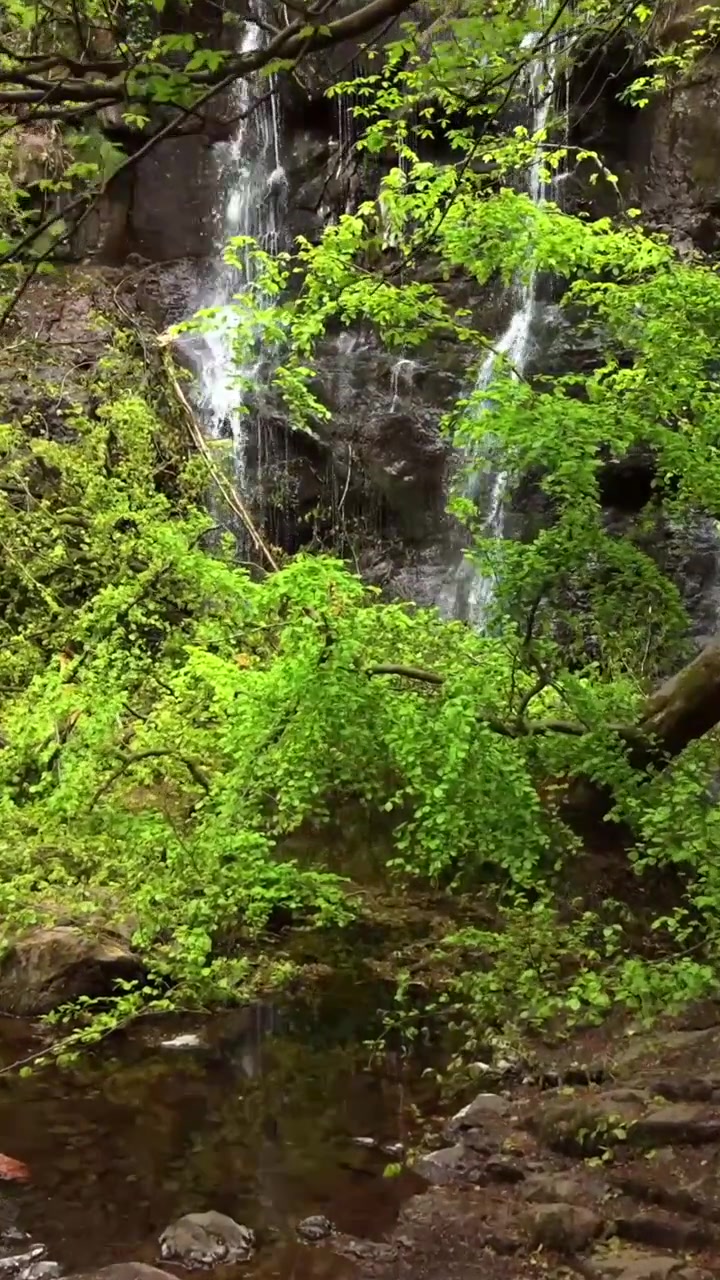 Video aéreo en formato vertical para redes sociales de la Cascada Glenariff en un día soleado de verano en el Condado de Antrim, Irlanda del Norte en el Reino Unido. Producido en 3840x2160 y con color Rec709