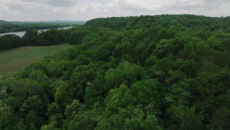 Landscape-With-Lush-Green-Forests-On-A-Cloudy-Day-In-Mousetail-Landing-State-Park,-Linden,-Tennessee,-USA---aerial-shot