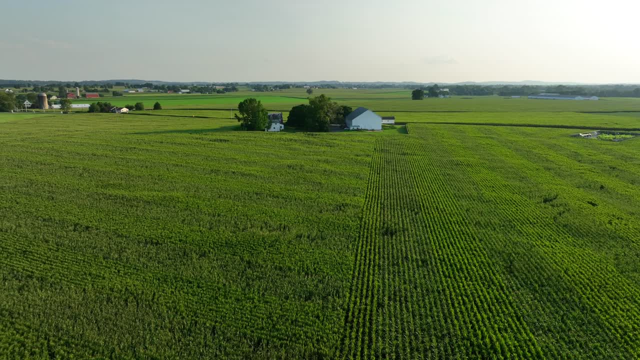 Vast green farmland in rural USA