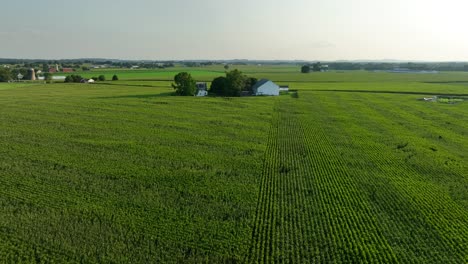 vast green farmland in rural usa