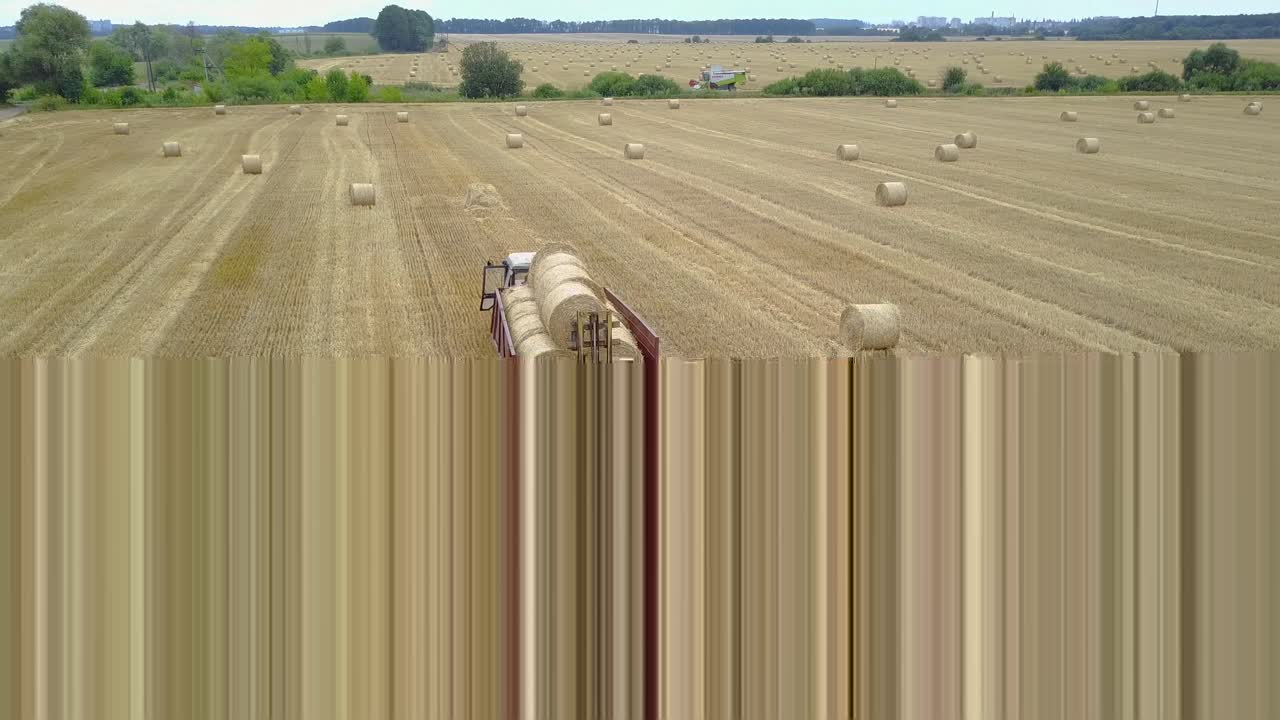 Farmers Harvesting Straw. Tractor with wagon load of hay bales