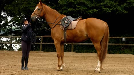 woman with her horse in paddock