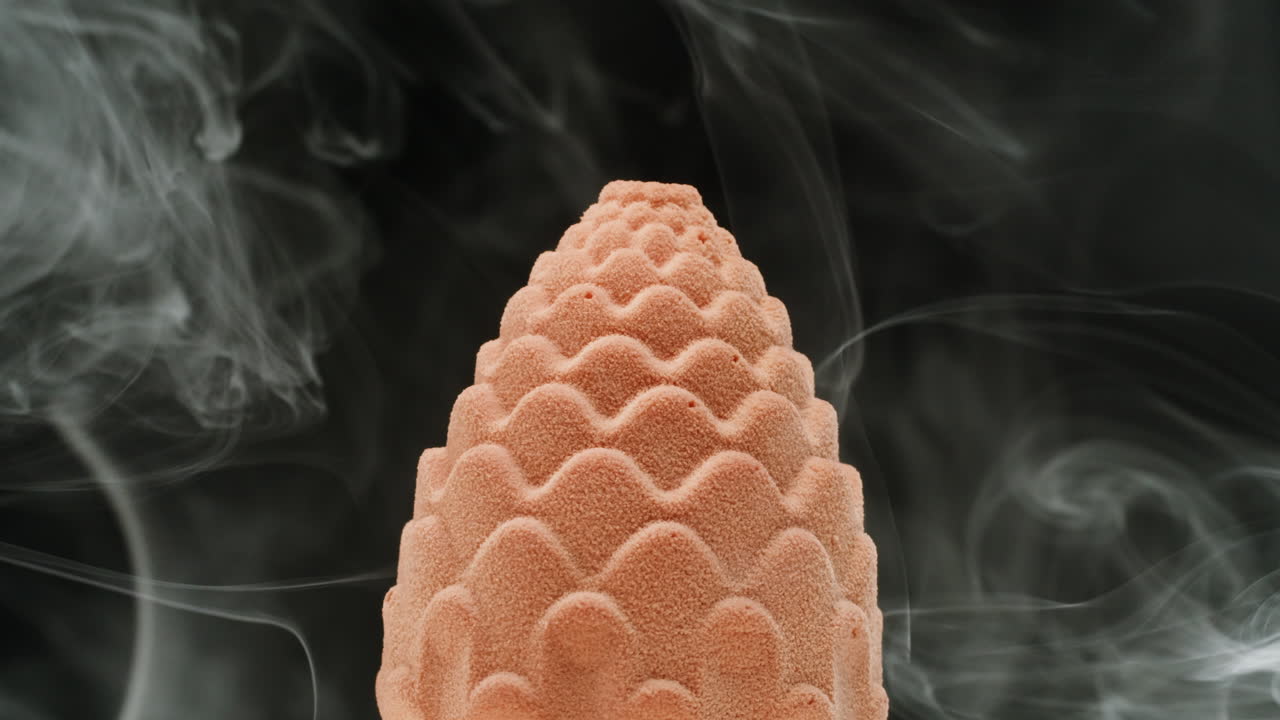 Gourmet Chocolate Pine Cone Dessert